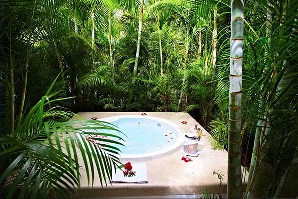 Jacuzzi entre palmeras