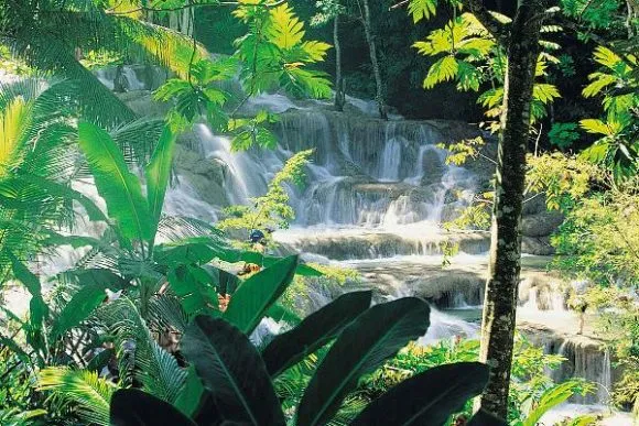 Río Dunn Jamaica