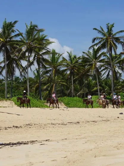 excursions à Punta Cana